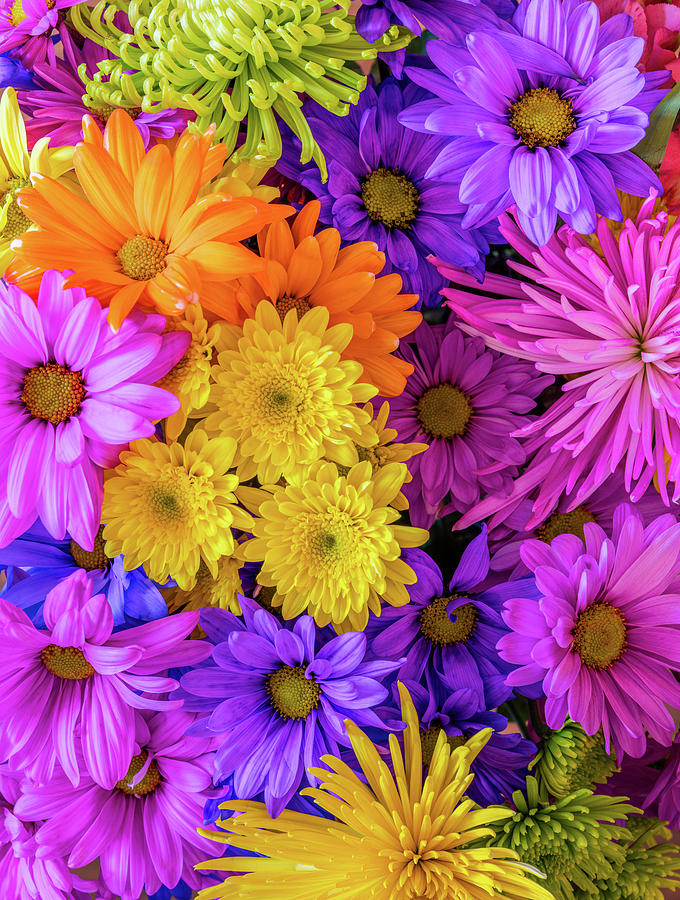 Close-up Of Floral Arrangement Photograph by Panoramic Images