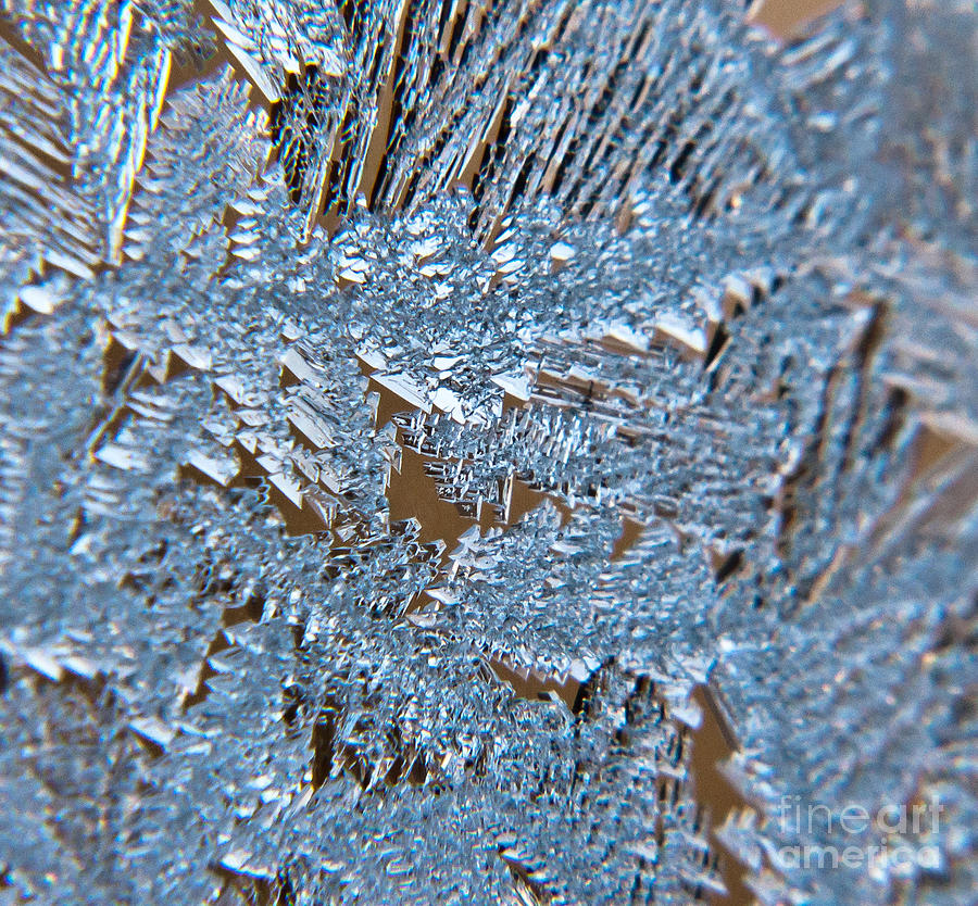 Close up of Frost Photograph by Cheryl Baxter