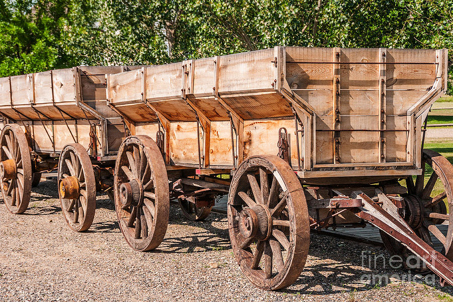 Close-up of Grain Wagons Photograph by Sue Smith