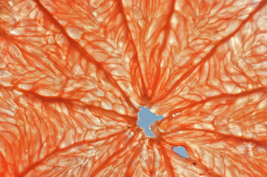Close Up Of Grapefruit Photograph by Jill Ferry Photography