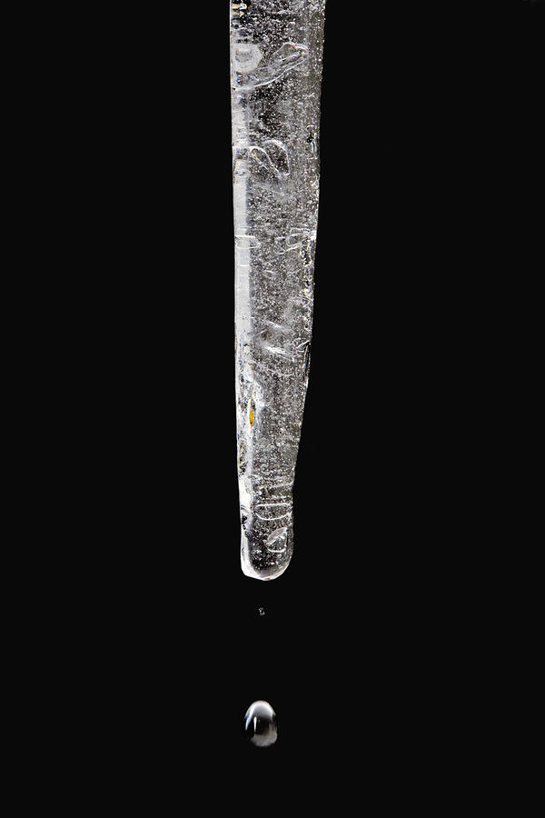 Close-up Of Icicle Melting Photograph by Science Stock Photography