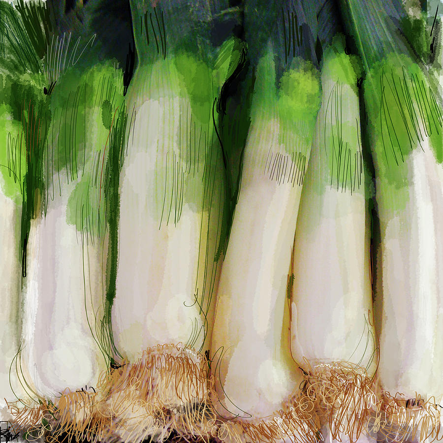 Close Up Of Leeks In A Row Photograph by Ikon Ikon Images