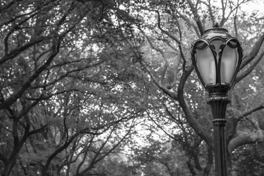 Close up of Light Post Central Park Photograph by John McGraw