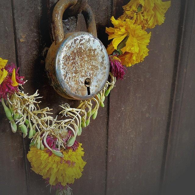 Close Up Of Marigold Garland Adorning A Photograph by Elton Fernandes