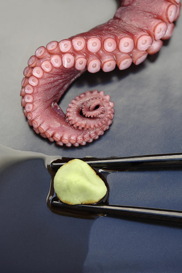 Close up of octopus and wasabi Photograph by John Block