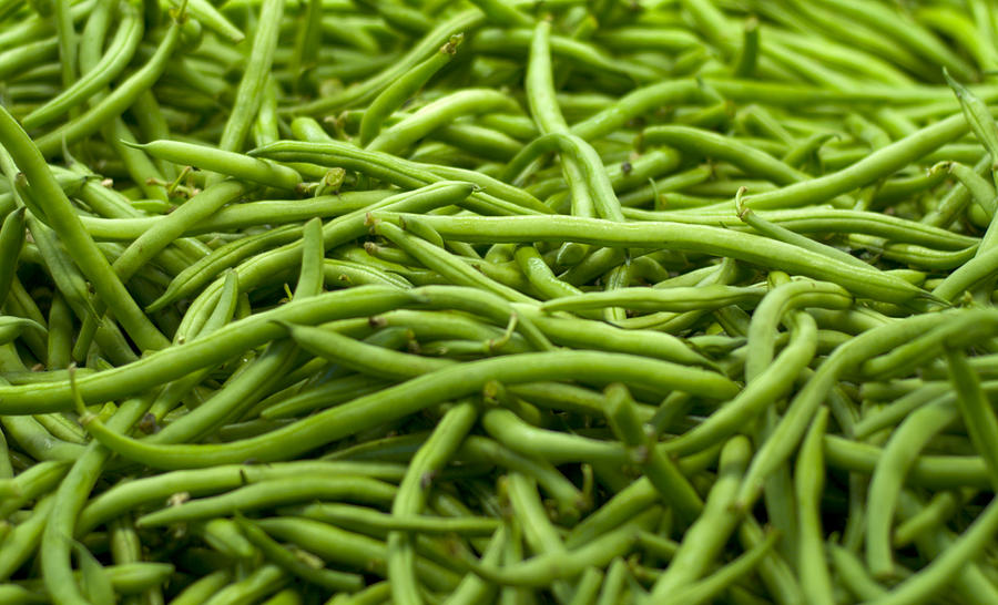 Close-up of organic green runner beans Photograph by Funwithfood