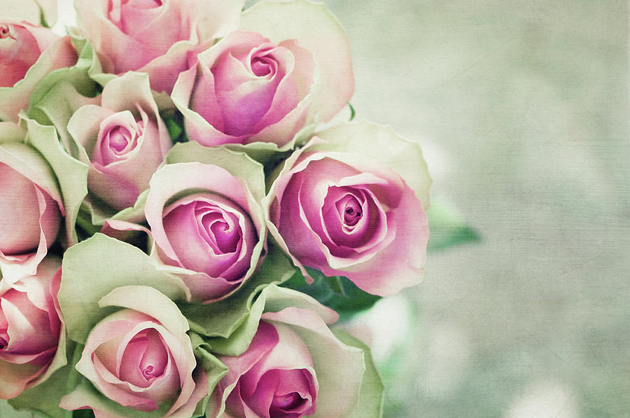 Close Up Of Pink Roses Bouquet Photograph by Marta Nardini