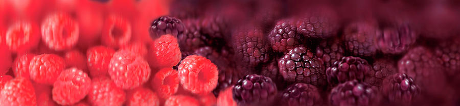 Close Up Of Raspberries Photograph by Ikon Ikon Images