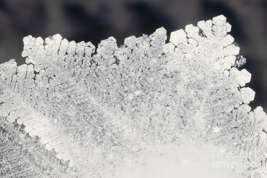 Close-up of real snowflake Photograph by Stephan Pietzko - Fine Art America