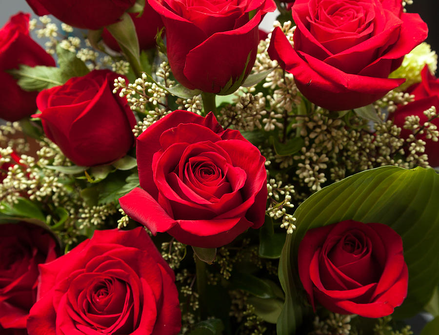 Close up of red rose bouquet with roses Photograph by Steven Heap ...