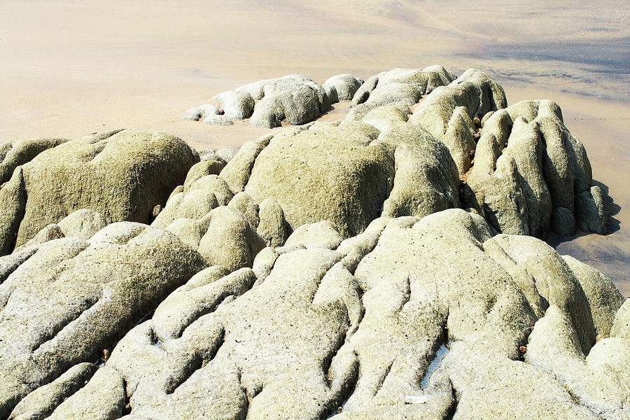 Close Up Of Rocks At A Beach Photograph by Visage