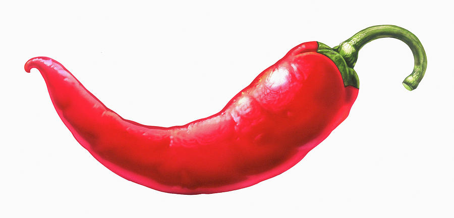 Close Up Of Single Red Chili Pepper Photograph by Ikon Ikon Images