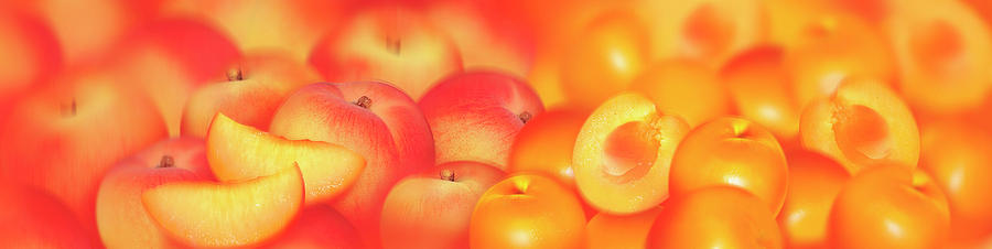 Close Up Of Slices Of Fresh Peaches Photograph by Ikon Ikon Images