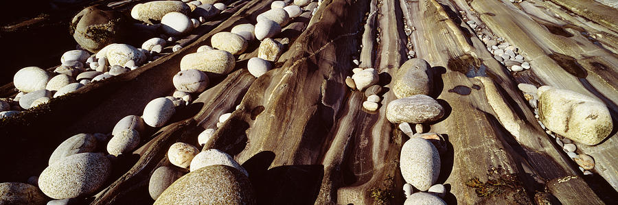 Color Image Photograph - Close-up Of Stones, Pemaquid by Panoramic Images