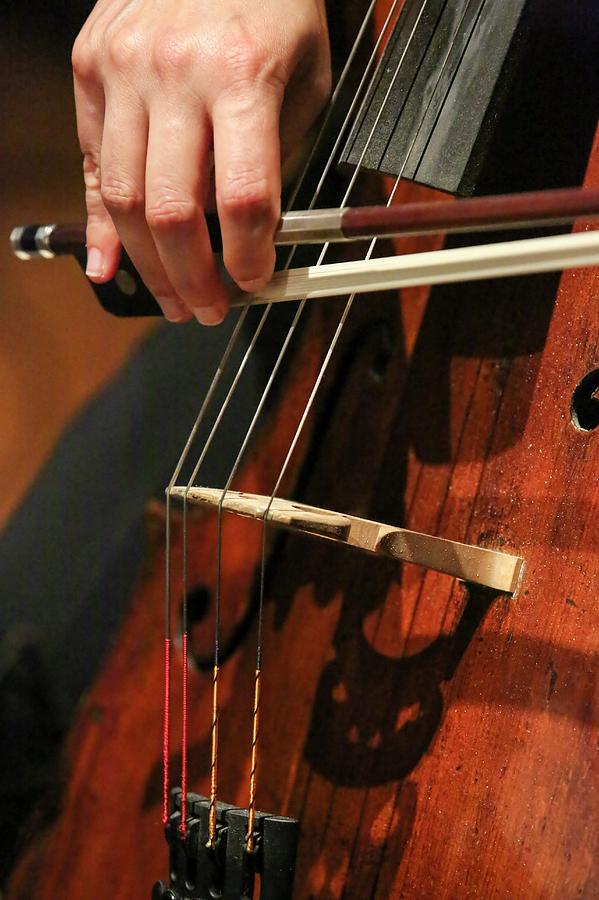 Close Up Of The Cellists Hands Photograph by Photostock-israel