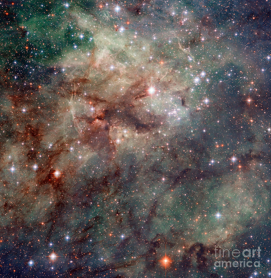 Close-up Of The Tarantula Nebula Photograph by Science Source
