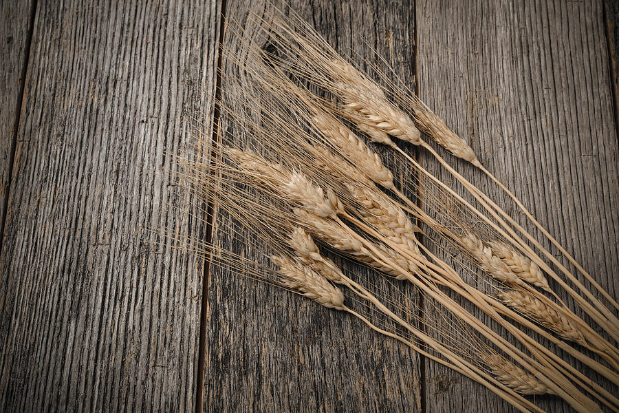 Close Up of Wheat on Rustic Wooden Table Photograph by Brandon Bourdages