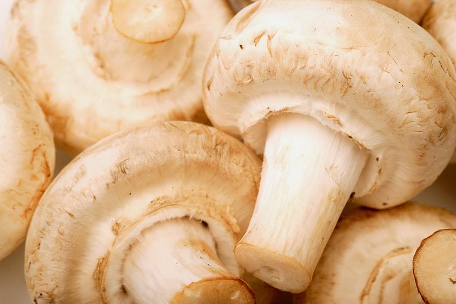Mushroom Photograph - Close Up Of White Mushrooms by Darren Greenwood
