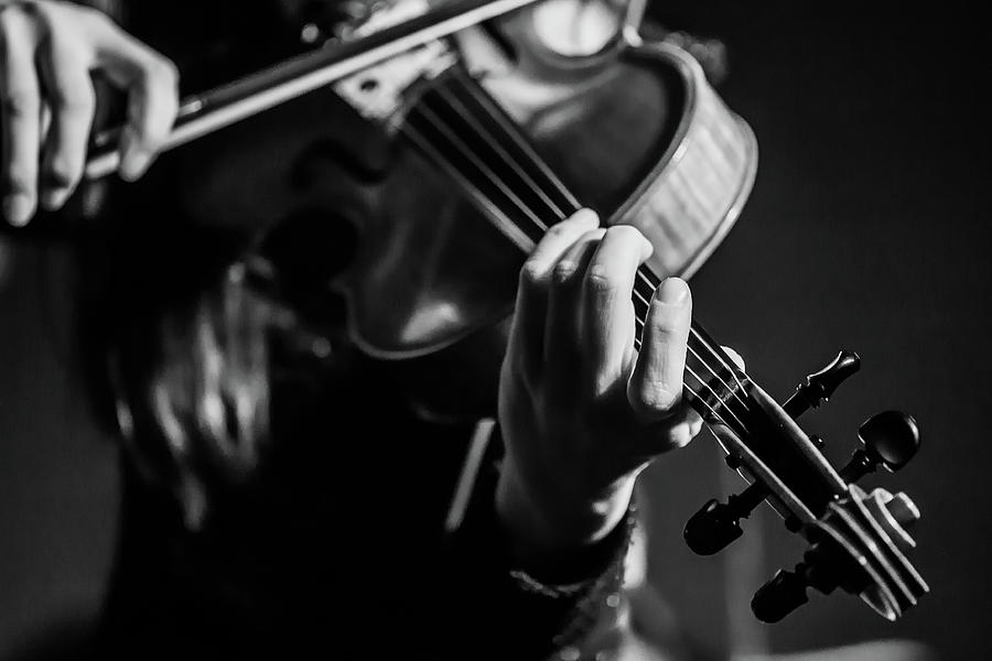 Close Up Of Women Playing A Violin Photograph by Verity E. Milligan