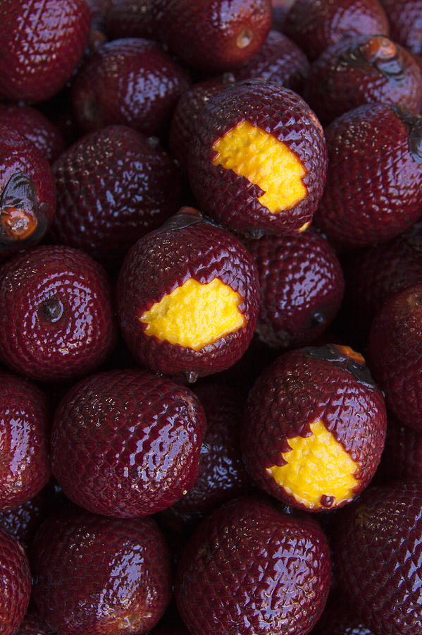 Close-up view of aguaje, moriche or buriti palm fruits (Mauritia flexuosa) showing flesh and scales, Puerto Maldonado, Tambopata Province, Madre de Dios Region, Peru.   Photograph by Michael Langford