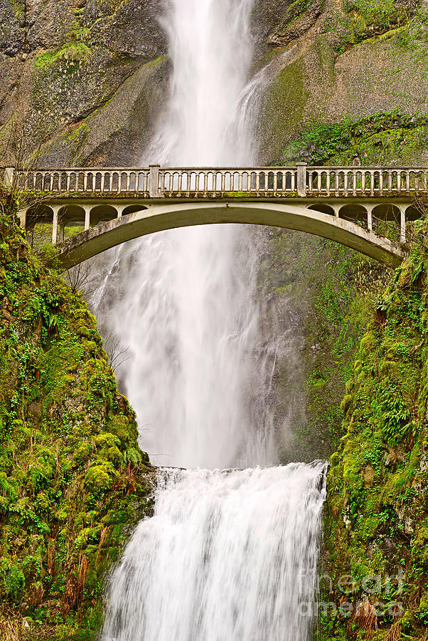 Nature Photograph - Close up view of Multnomah Falls in the Columbia River Gorge of Oregon by Jamie Pham