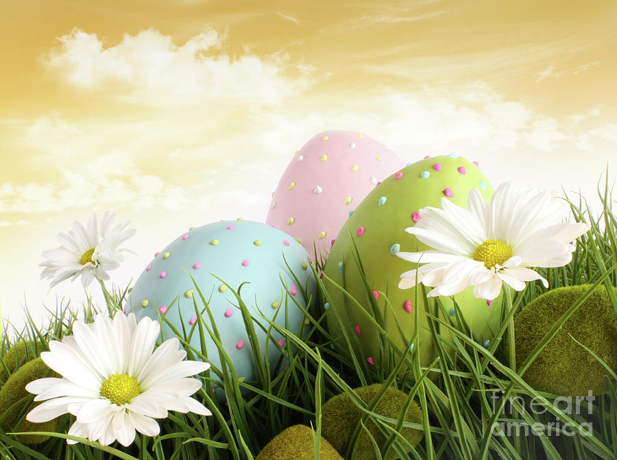 Closeup of decorated easter eggs in the grass with flowers Photograph by Sandra Cunningham
