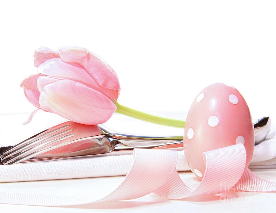 Closeup of tulip and utensils on pale pink Photograph by Sandra Cunningham