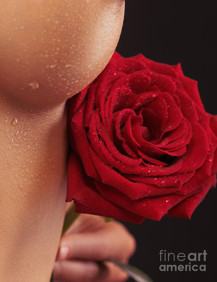 Abstract Photograph - Closeup of Woman Breast and a Red Rose by Maxim Images Exquisite Prints