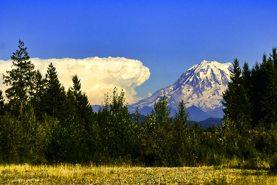 Cloud advancing on Mt. Rainer Photograph by Ron Roberts