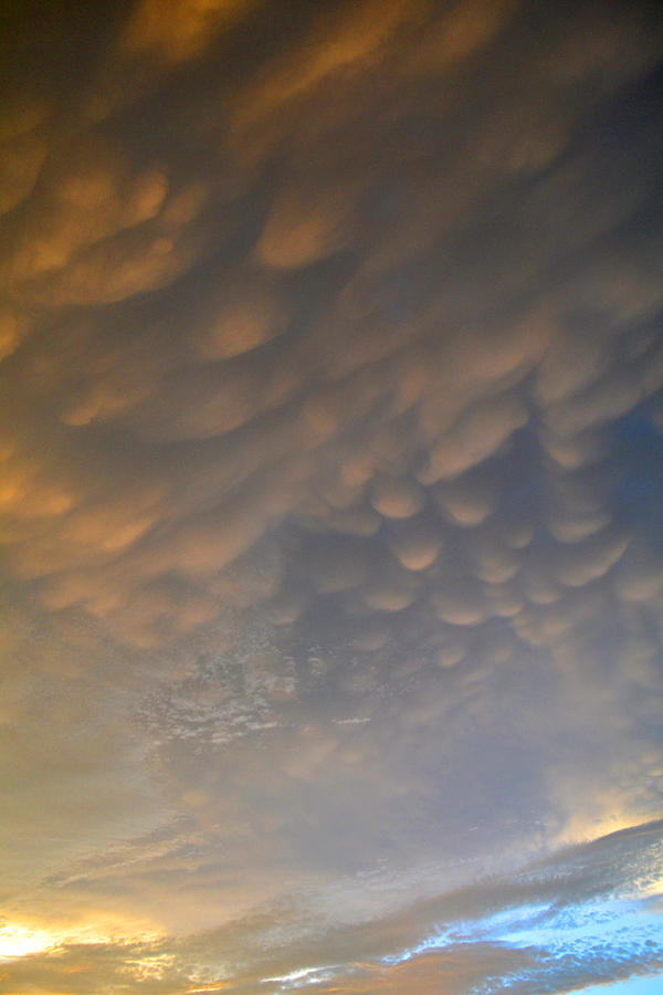 Cloud Ceiling 3  Photograph by Lyle Crump