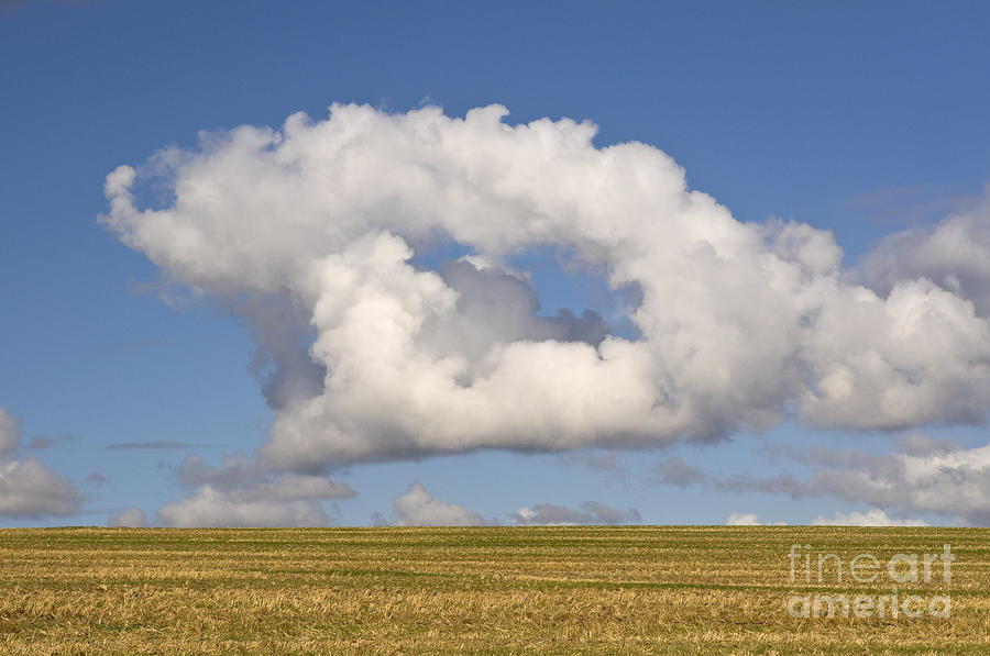 Cloud Photograph - Cloud by David Davies Cloud Photograph - Cloud by David Davies