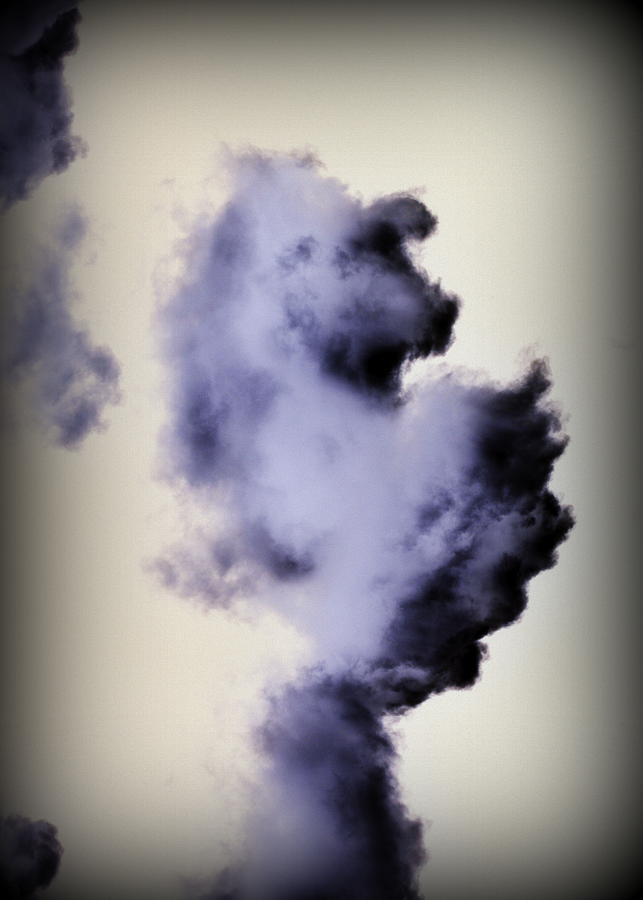 Cloud Images The Chess Piece Knight Photograph by Lisa Holland-Gillem