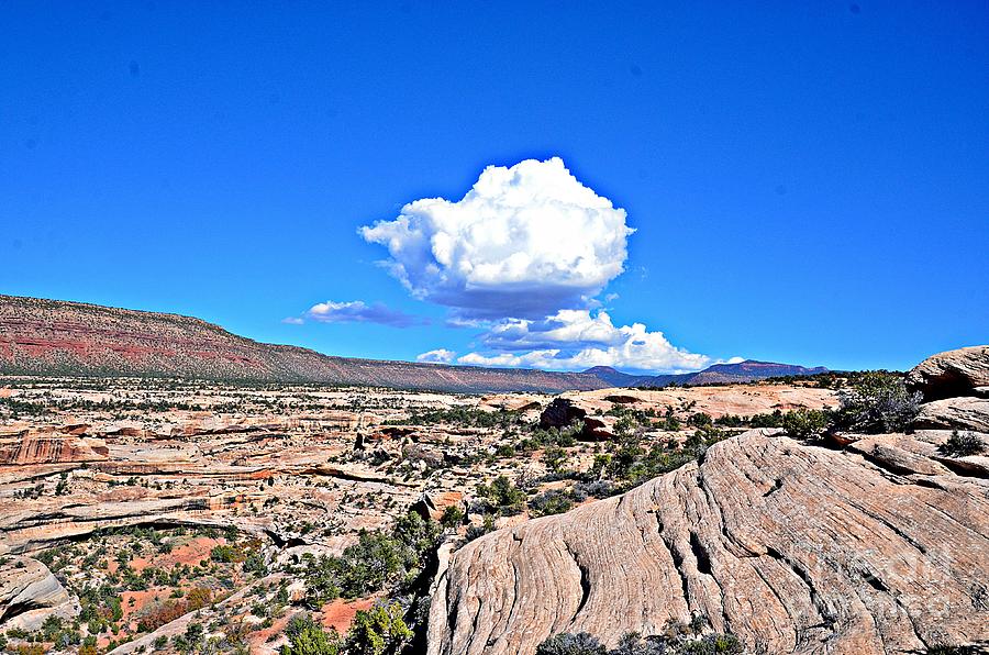 Cloud in Colorado Photograph by Randy J Heath