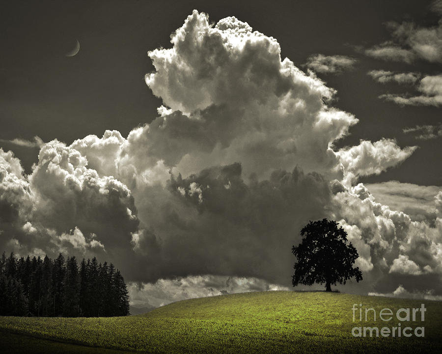Cloud No.9 Photograph by Edmund Nagele FRPS