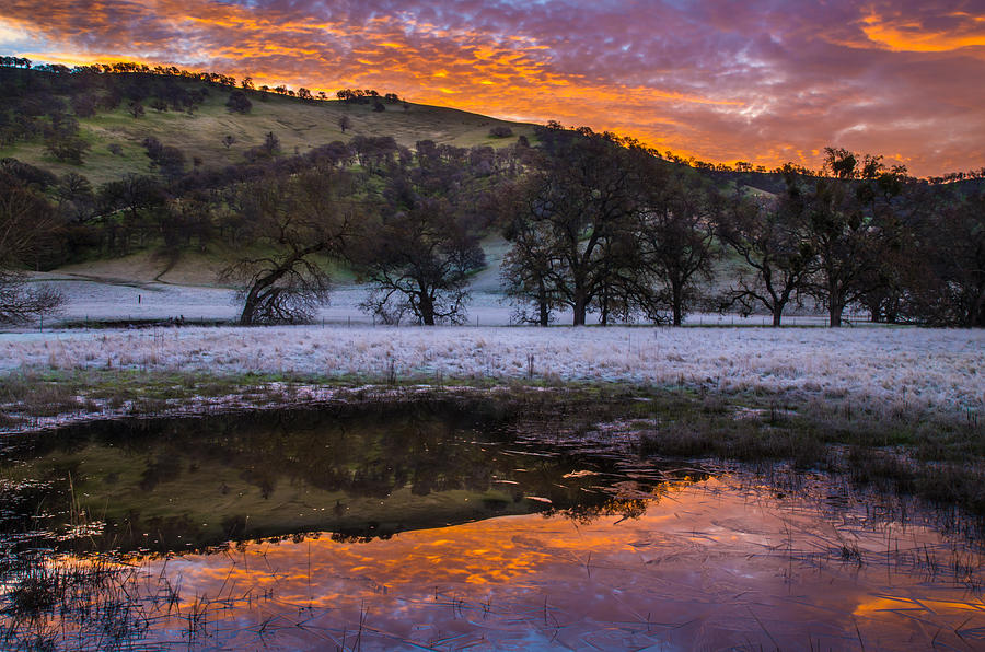 Cloud Reflection In An Icy Pond Photograph by Marc Crumpler