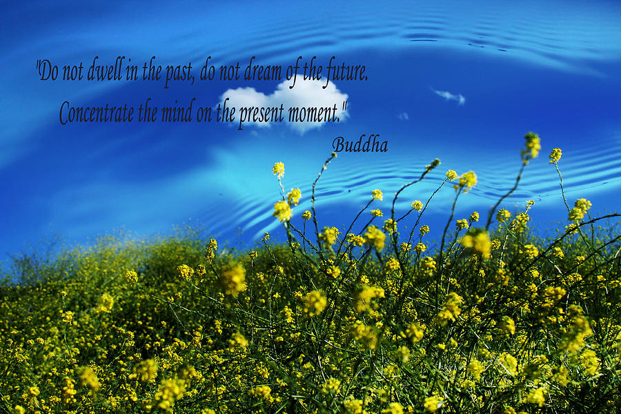Cloud Reflection with Buddha Quote by Sarah Broadmeadow-Thomas Cloud Reflection with Buddha Quote by Sarah Broadmeadow-Thomas