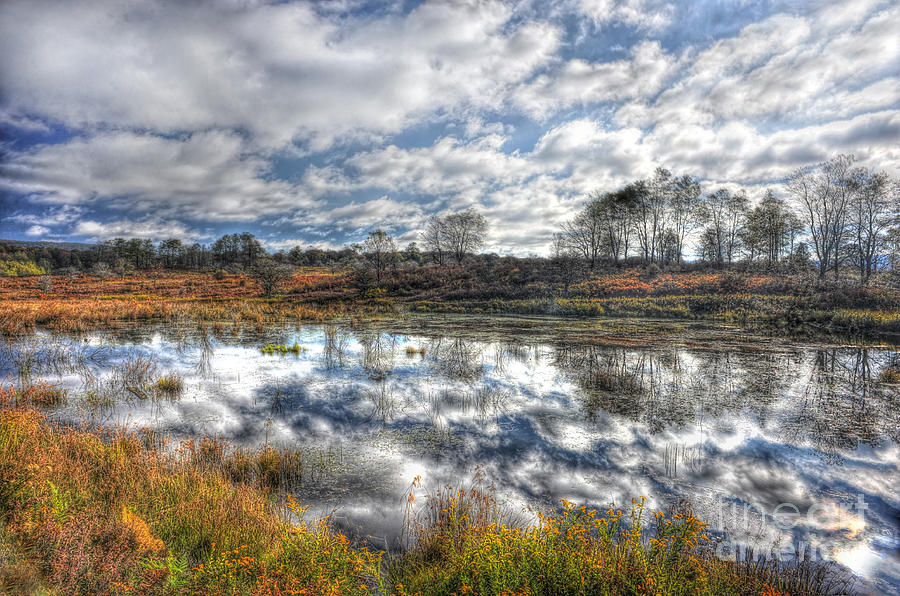Cloud reflections in beaver pond Canaan Valley Photograph by Dan Friend