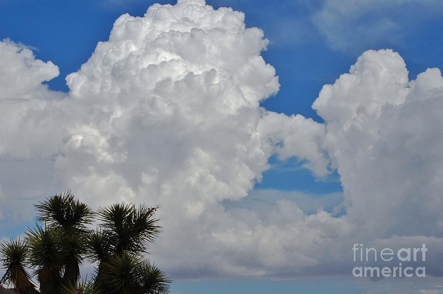 Cloud Window Photograph by Angela J Wright