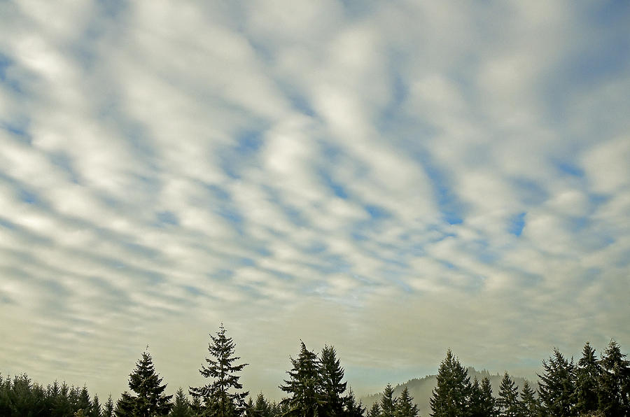 Cloudage Photograph By Nick Boren - Fine Art America