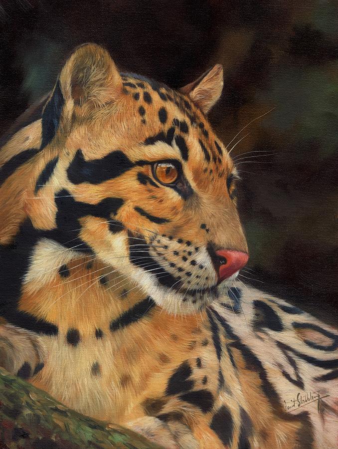 Clouded Leopard Painting by David Stribbling