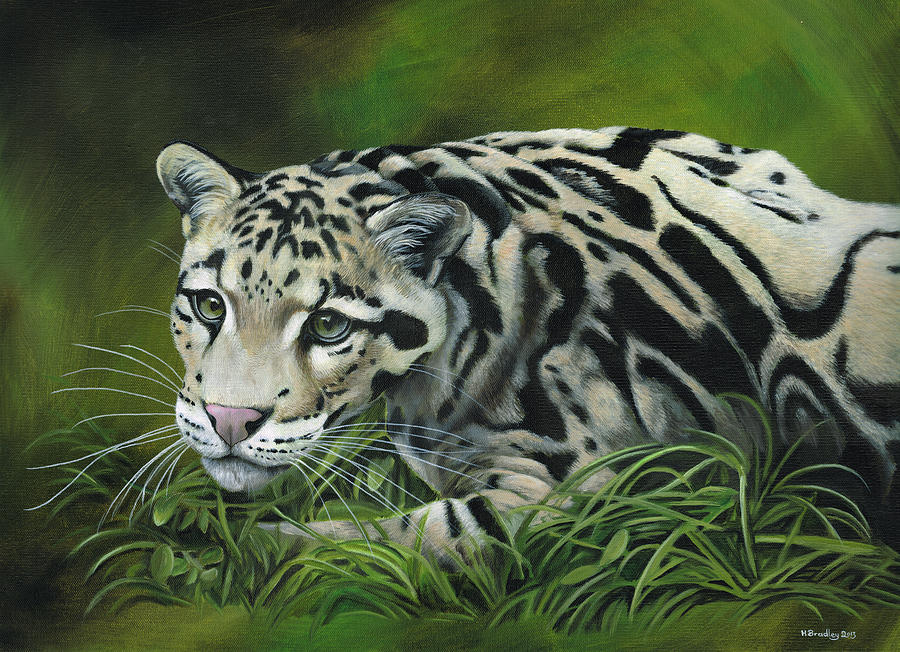 Leopard Painting - Clouded Leopard by Heather Bradley