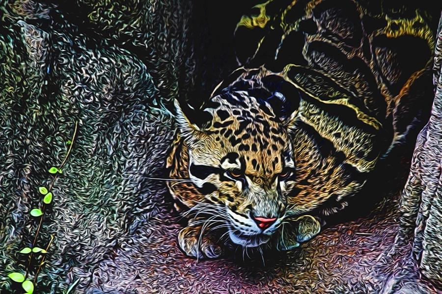 Clouded Leopard Painted Photograph by Judy Vincent