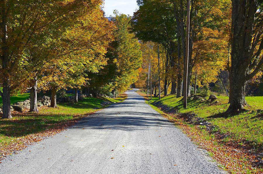 Cloudland Road Photograph by Philip Derrico - Fine Art America