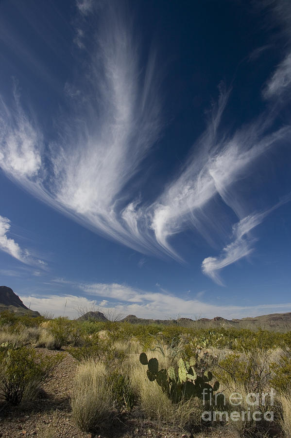 Big Bend National Park Photograph - Clouds Above Chihuahuan Desert, Big by Greg Dimijian