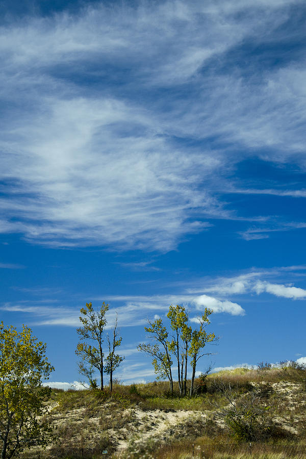 Tree Photograph - Clouds and Dune Trees by James Blackwell JR