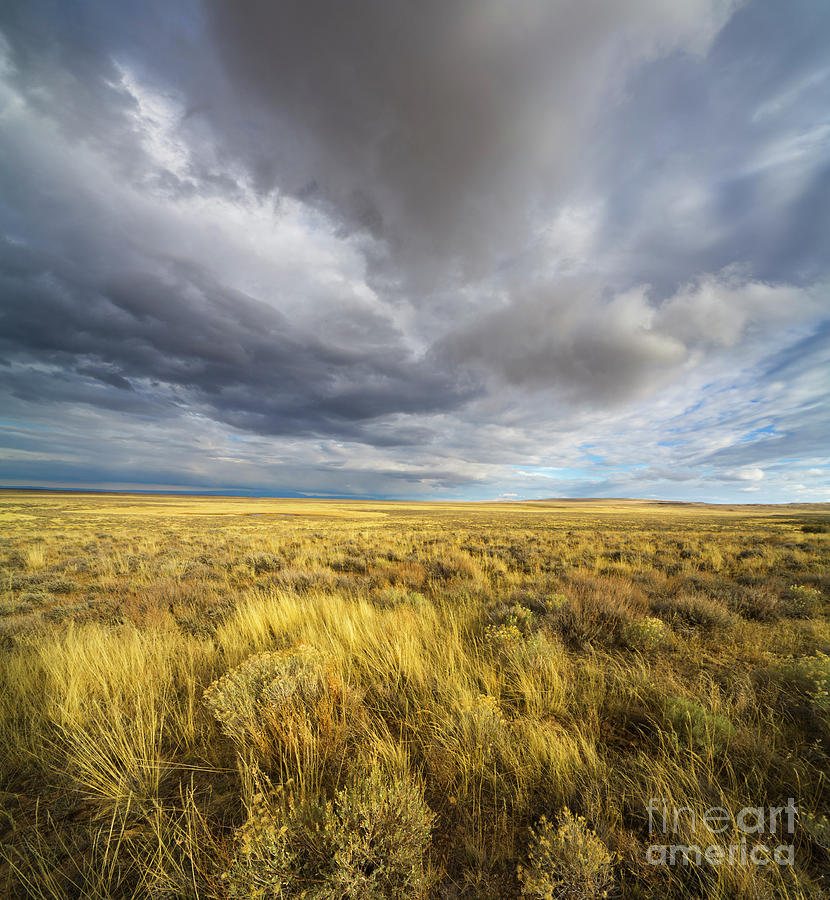 Clouds and Prairie Hart Mt N R Photograph by Yva Momatiuk John Eastcott