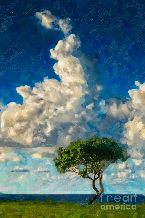 Clouds And Tree Photograph