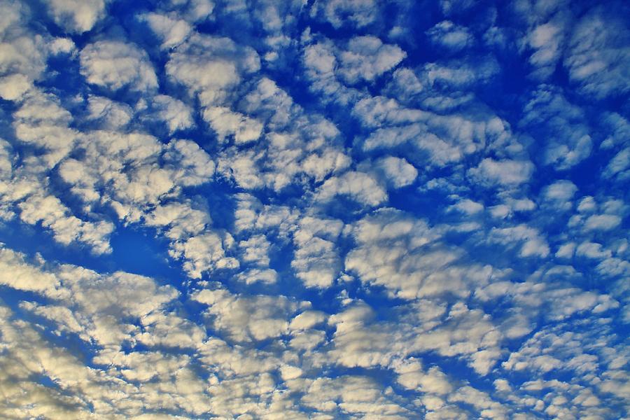 Clouds Photograph by Catie Canetti