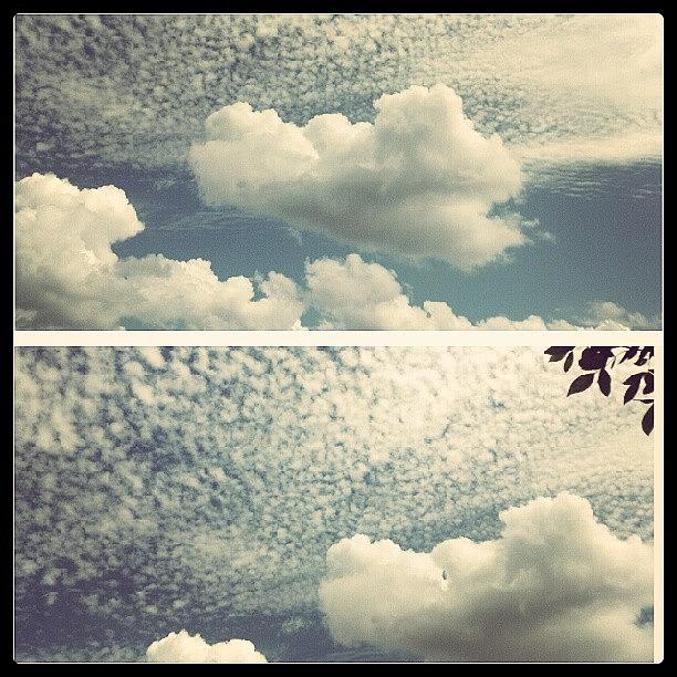 Sky Photograph - #clouds #fluffy #sky by Rachel Maynard