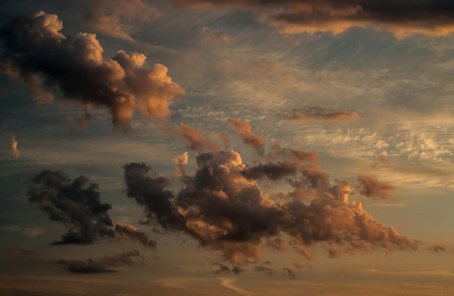 Bird Photograph - Clouds For Rembrandt by Julis Simo